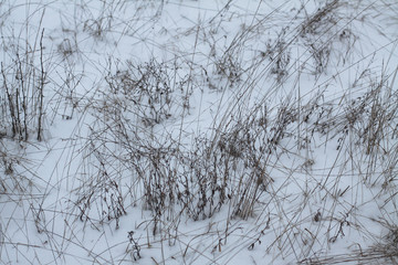 Snow-white snow and the earth sheltered by it. Countryside and snowfall. Winter dunes and mountains of snowflakes. Stock background.
