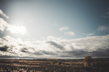 Autumn cloudy weather. Field. A lot of clouds. yellow colors