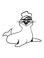 Seehund meer wasser doof mütze lustig schwimmen Pazifik atlantik witzig fisch fressen sonnenbrille 1c
