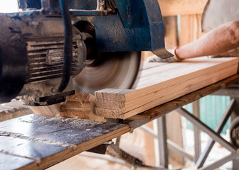 Modern sawmill. A carpenter works on woodworking the machine tool.
