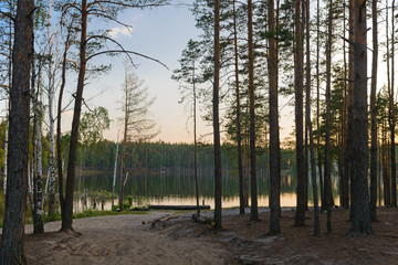Colorful summer evening landscape with forest lake