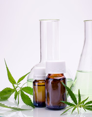 Medical, chemical theme background with cannabis leaves, oil bottle and laboratory glass flasks behind on a white.