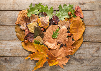 Naklejka na ściany i meble Different autumn leaves on wooden background