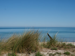 Fototapeta na wymiar Strandlandschaft mit Dünen und Gras an der Ostsee