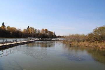 Autumn On The Boardwalk, Elk Island National Park, Alberta