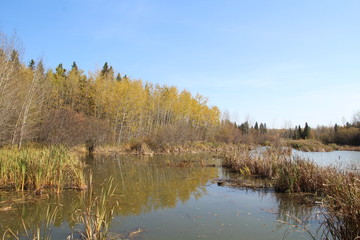 Autumn Haze On The Bay, Elk Island National Park, Alberta