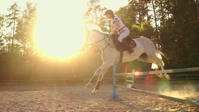 Show jumping from horsewomen. Slow motion