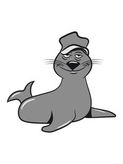 Seehund meer wasser doof mütze lustig schwimmen Pazifik atlantik witzig fisch fressen 3c