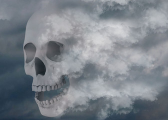 Obraz premium Skull wrapped in the mists of time - 3D