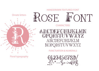 Hand drawn calligraphic vector serif font. Distress ornate floral letters. Modern calligraphy gentle type set. ABC typography latin alphabet.