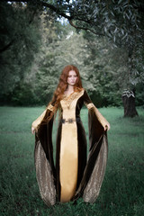 Art photography - a noble girl in a medieval dress with long sleeves