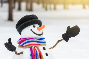 Christmas card with a cute snowman