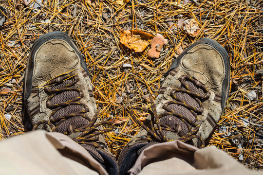 closeup hiker feet stay on the ground with dry leaves and pine needle