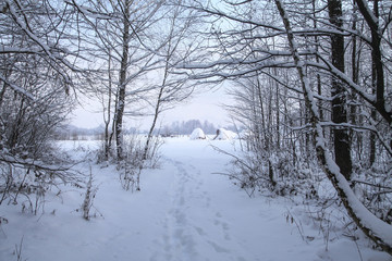 Beautiful winter landscape in the forest. Road outside the city and snowfall. Snowdrifts in the park and uncleaned street. Christmas and New Year background
