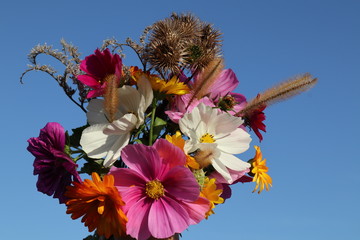Blumenstrauss aus Wiesenblumen im Herbst