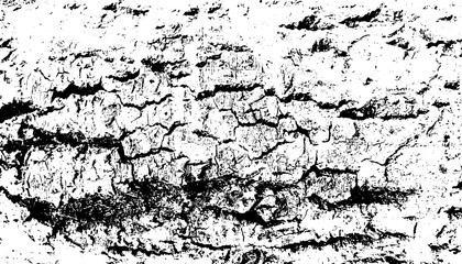 Distressed overlay texture of rough surface, cracked wood, tree bark. Grunge background. One color graphic resource.