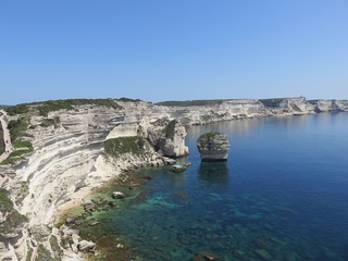 Bonifacio