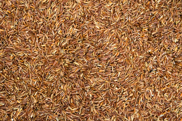 Brown uncooked rice closeup. Cereals, cooking