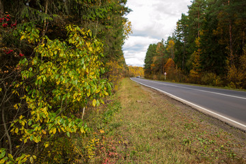 Empty road, asphalt, forest on the roadsides, autumn. journey