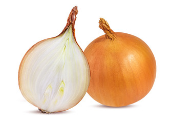 Fresh onion isolated on white background  with clipping path