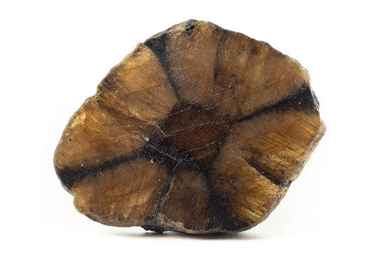 Chiastolite mineral from China isolated on a pure black background