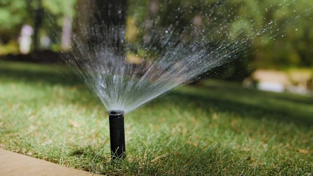 Irrigation lawn sprinkler head watering grass. Automatic watering system spraying water in residential yard.