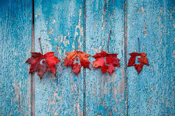 word sale of letters carved on colorful red bright maple leaves hanging on a wooden blue wall autumn Sunny September morning