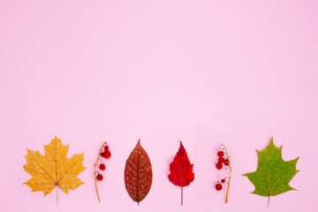 Autumn composition. Pattern of dry red, yellow, green leaves and red berries on a branch on a soft pink background. Flat lay, top view, copy space.