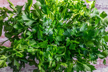 Fototapeta na wymiar Green background of fresh parsley.