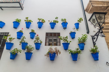 Wall with decorative flower pots in Cordoba, Spain