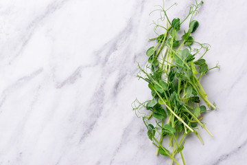Fresh micro greens peas sprouts