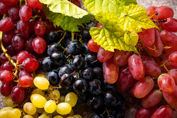 Assortment of different sort of grapes