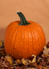 whole fresh pumpkin and autumn leaves