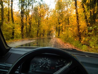 Obraz premium Road in the autumn forest in rain. Asphalt road in overcast rainy day. Roadway with reflection and trees in kaliningrad region. Empty highway in fall woodland. Rain drops on the windshield of a car.