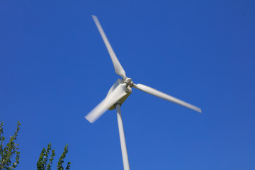 wind driven generator