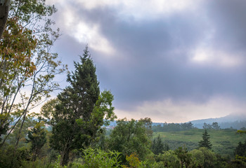 Nature