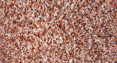 texture of samarkand round grain rice
