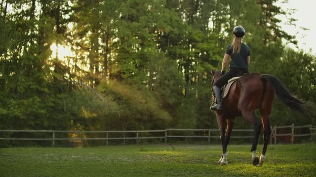Equitation on a sunny day