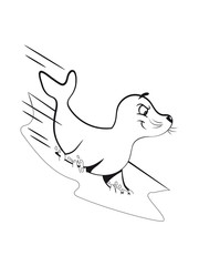 Seehund meer rutschen süss lieb lustig kind schwimmen Pazifik atlantik witzig 1c