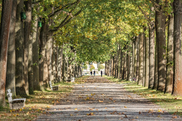 allee