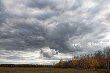 Fototapeta na wymiar gray clouds in the sky over the autumn forest in Russia