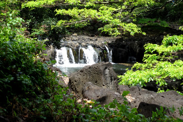 Leafy Waterfall_1984