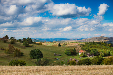 Obraz premium landscape with field and blue sky