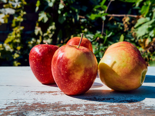 red juicy ripe apples on an old wooden table against the background of autumn nature in the garden, soft selective focus