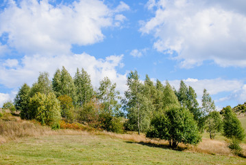 Landscape