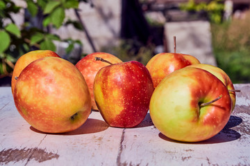 red juicy ripe apples on an old wooden table against the background of autumn nature in the garden, soft selective focus