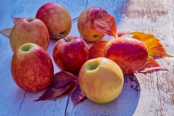 red juicy ripe apples on an old wooden table against the background of autumn nature in the garden, soft selective focus