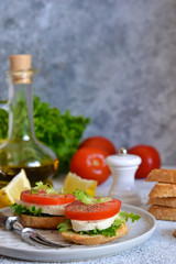 Lunch time! Sandwich with tomatoes and mozzarella on the kitchen table.
