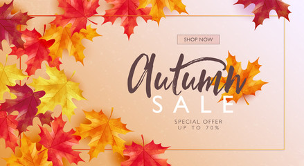 Autumn sale discount marketing design layout. Hello autumn banner concept. Maple orange theme design with frame on white gradient background. Vector illustration template.