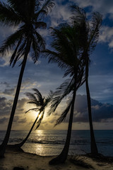 San Blas Cayos Holandeses Panama